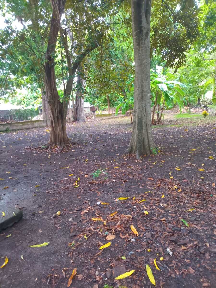High Growth Investment Property Near Future Coco Marina and Beach — photo 10 of 10