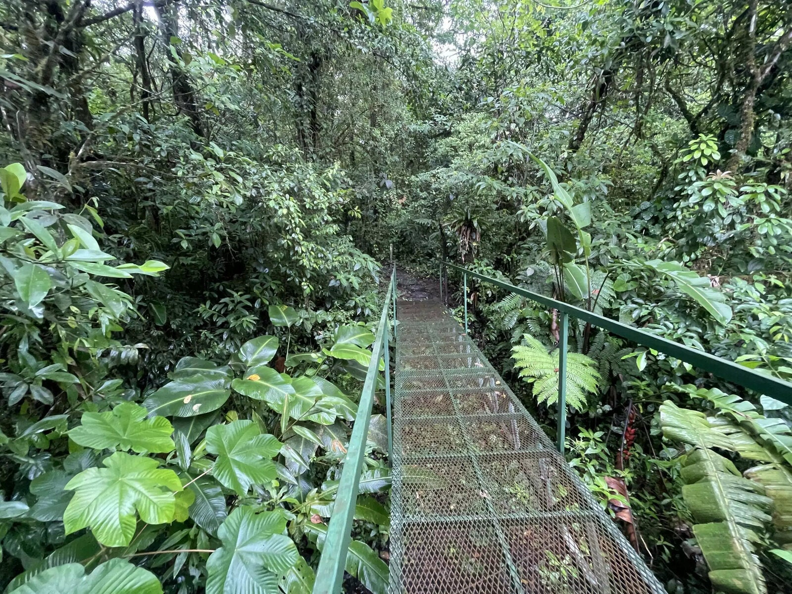 Home And Guesthouse With Tourism Business, Nuevo Arenal, Nuevo Arenal, Lake Arenal, Arenal, Tilaran, Alajuela, Costa Rica 50807 Home And Guesthouse With Tourism Business, Nuevo Arenal, Nuevo Arenal, Lake Arenal, Arenal, Tilaran, Alajuela, Costa Rica 50807