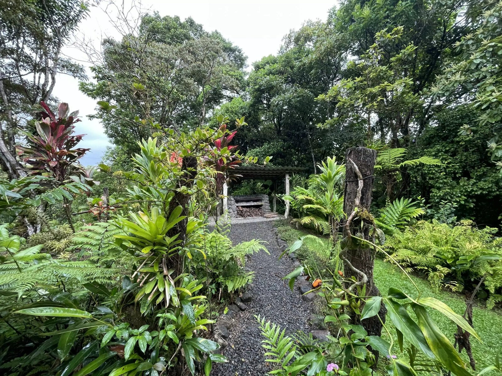 Home And Guesthouse With Tourism Business, Nuevo Arenal, Nuevo Arenal, Lake Arenal, Arenal, Tilaran, Alajuela, Costa Rica 50807 Home And Guesthouse With Tourism Business, Nuevo Arenal, Nuevo Arenal, Lake Arenal, Arenal, Tilaran, Alajuela, Costa Rica 50807