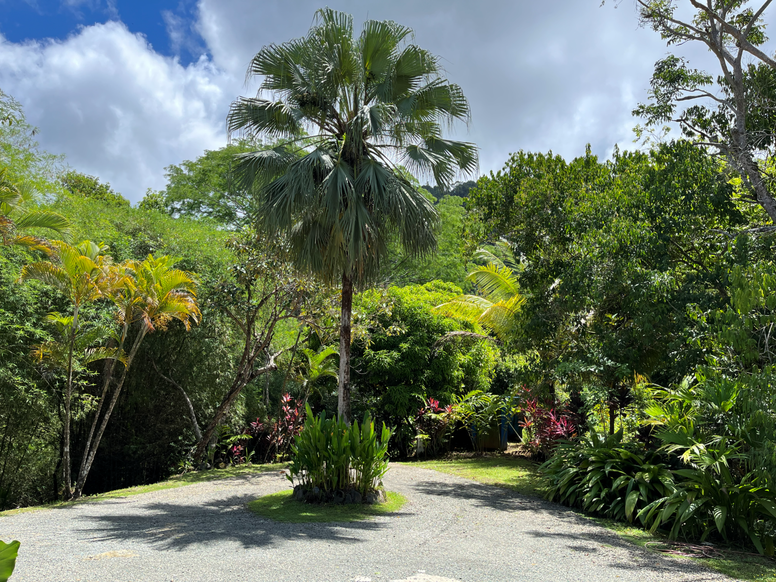 Matapalo Estate home with sunset ocean views and a waterfall — photo 19 of 19