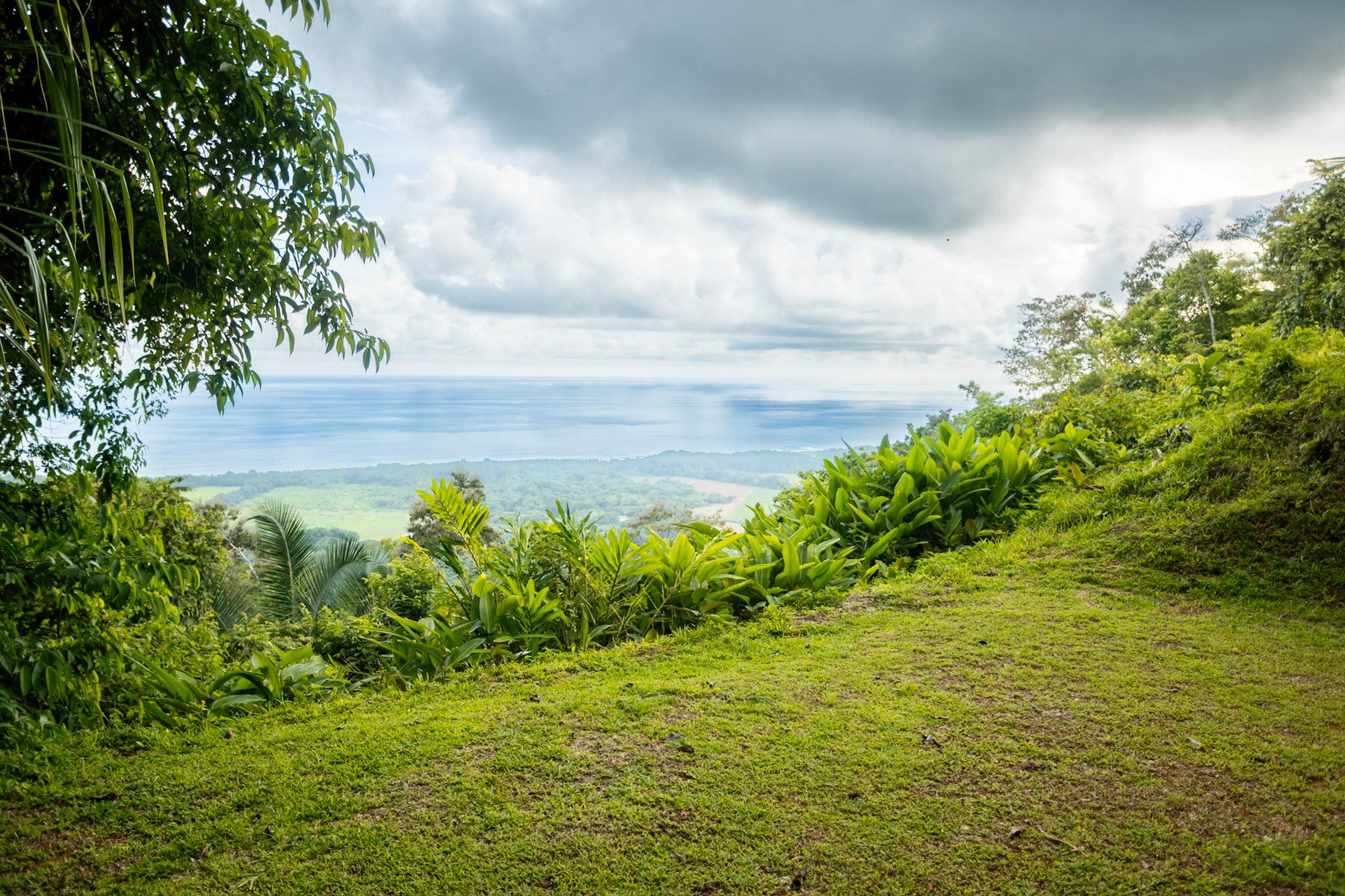Secluded tropical sanctuary on a 5-acre lot of land, Hatillo, Dominical, Puntarenas, Costa Rica
