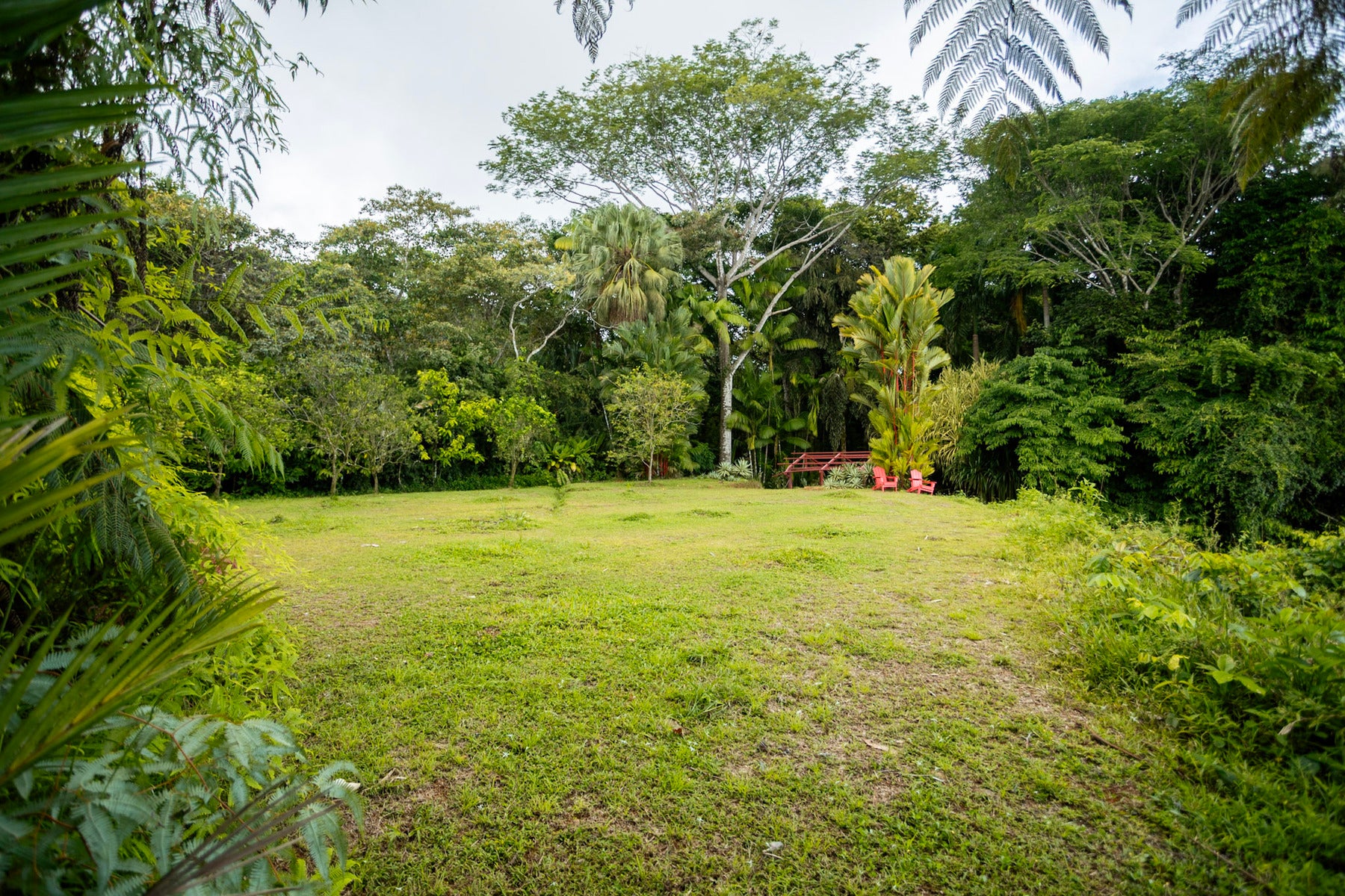Secluded tropical sanctuary on a 5-acre lot of land — photo 2 of 8