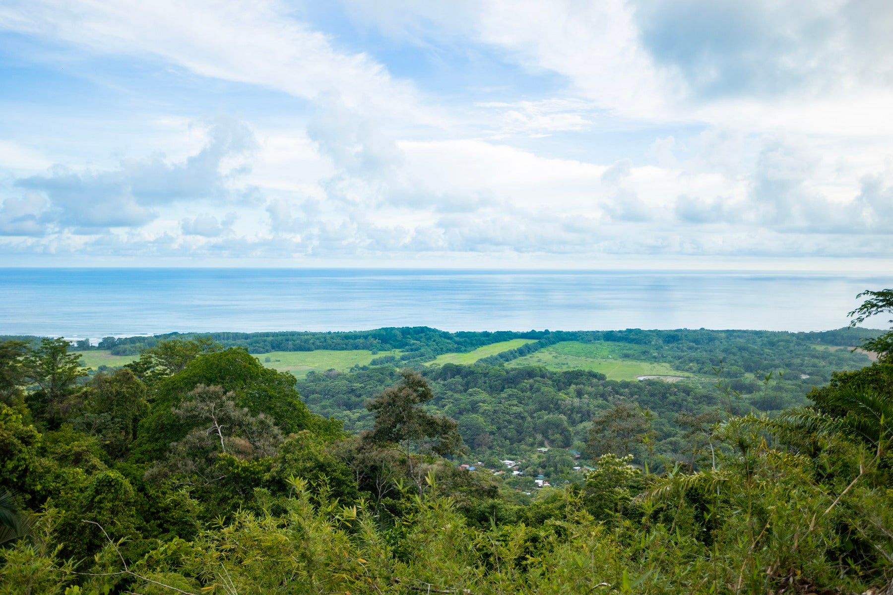 Secluded tropical sanctuary on a 5-acre lot of land — photo 3 of 8