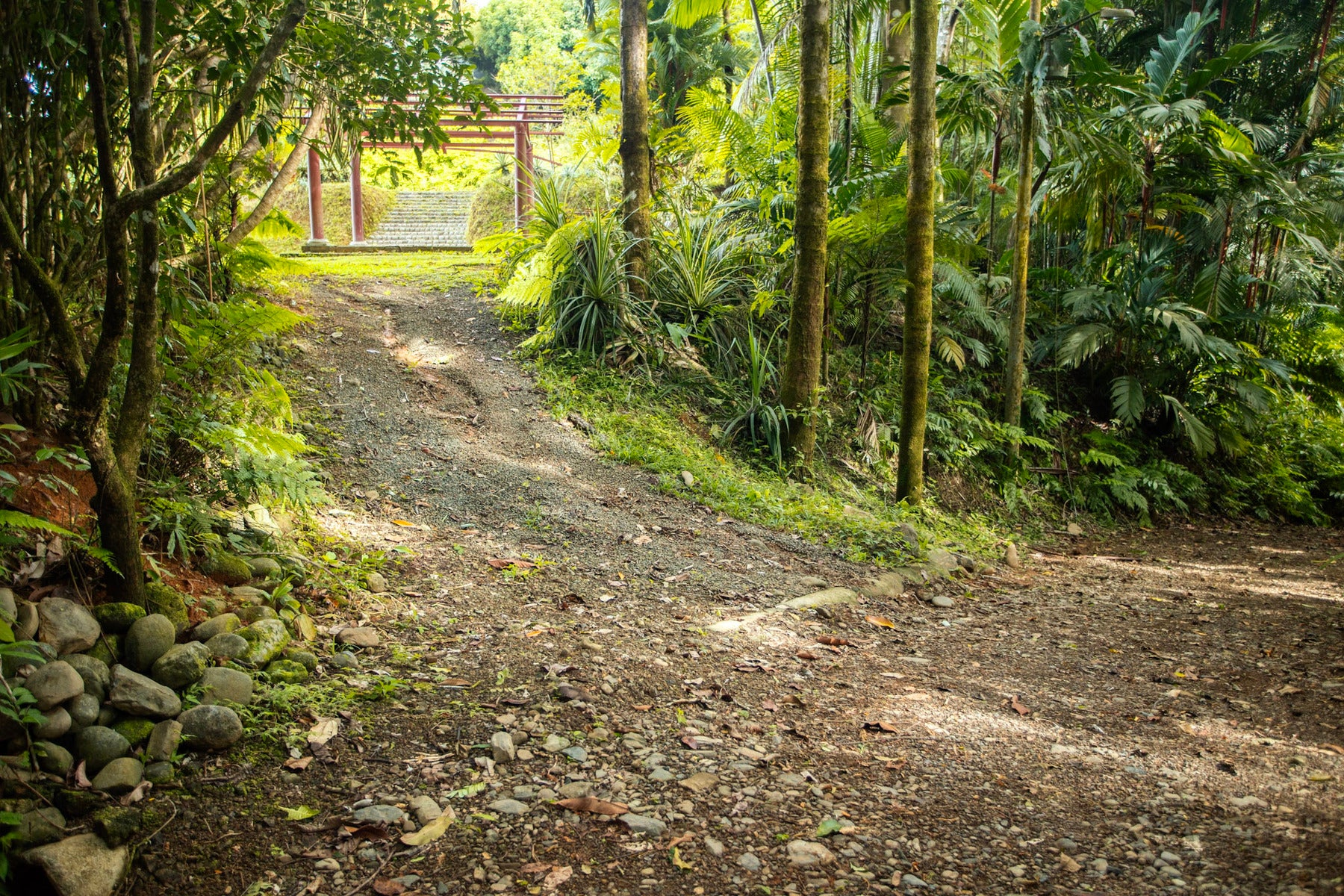 Secluded tropical sanctuary on a 5-acre lot of land — photo 5 of 8