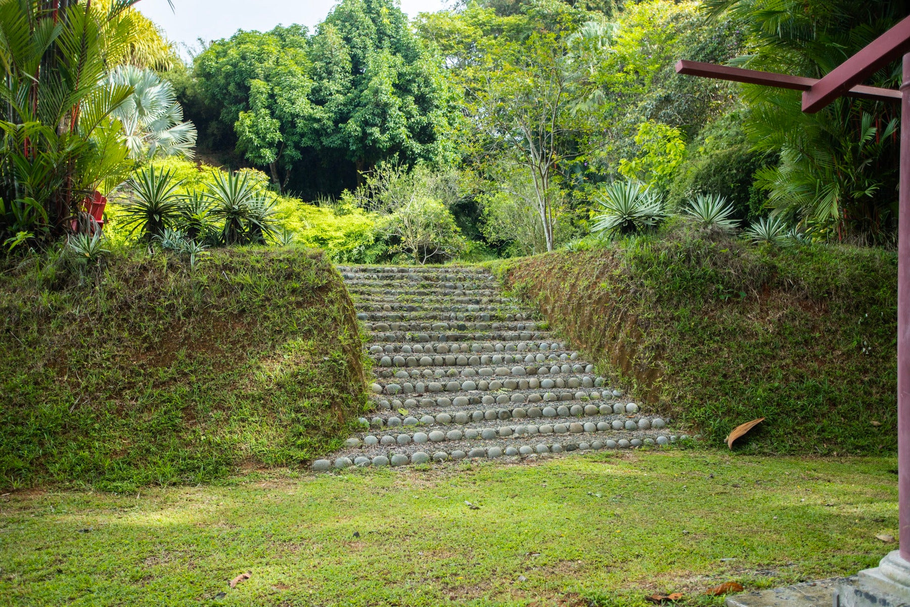 Secluded tropical sanctuary on a 5-acre lot of land — photo 6 of 8