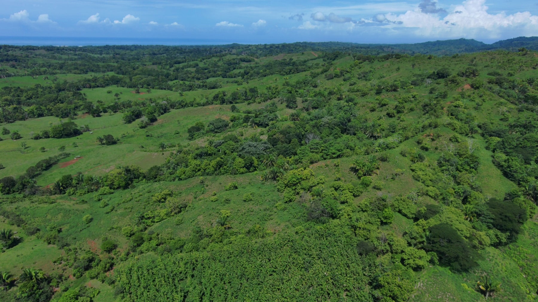 Ocean View Development Land, Parrita, 612501, Puntarenas, Costa Rica — foto 3 de 5
