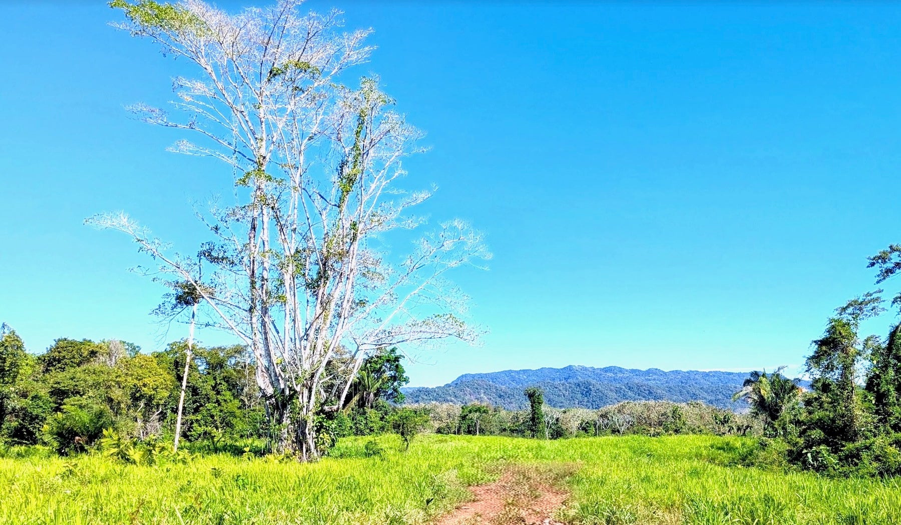 Expansive Cobano Farm — photo 4 of 9