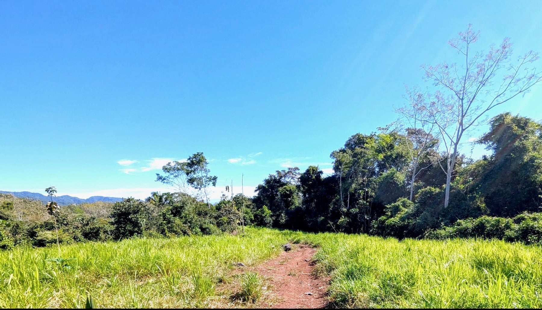 Expansive Cobano Farm — photo 2 of 9