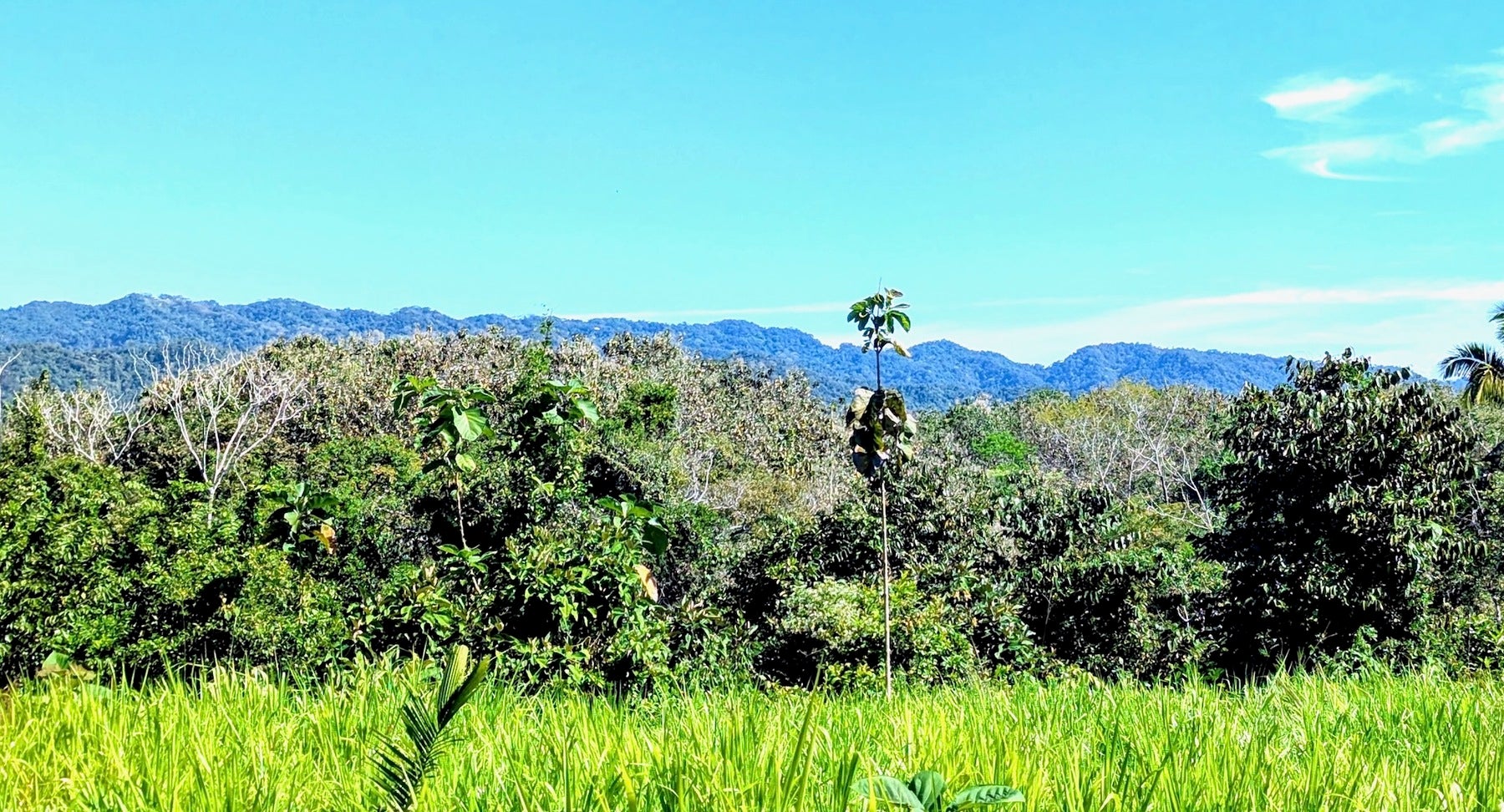 Expansive Cobano Farm, Santa Teresa, Cobano, Puntarenas, Puntarenas, Costa Rica 60111