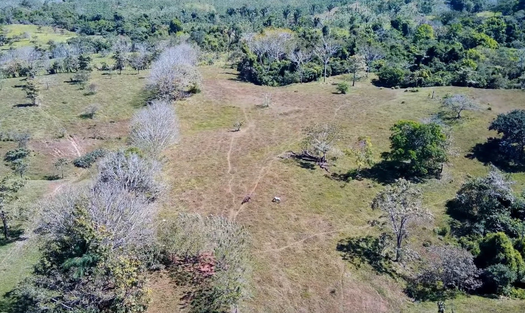 Expansive Cobano Farm — photo 5 of 9