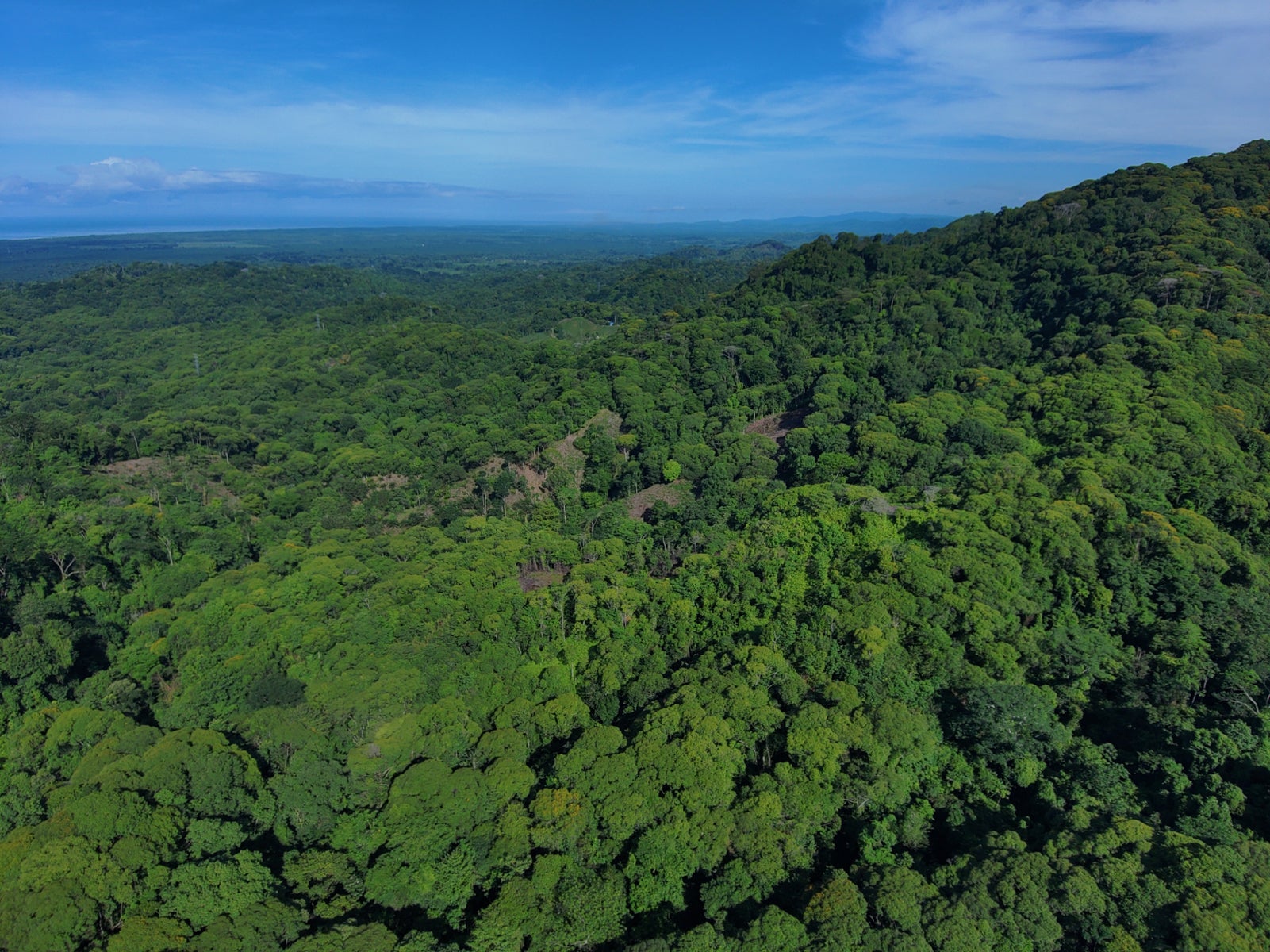 142 Acres of Primary Forest, Quepos, Manuel Antonio, Puntarenas, Costa Rica