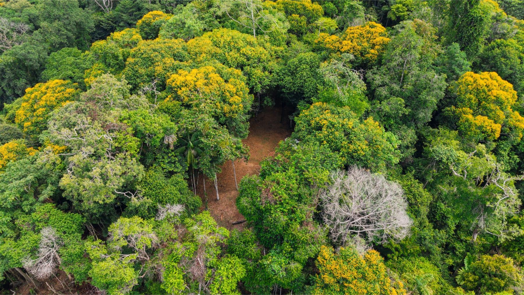 Property photo for Cloud Forest Reserve, Uvita, Dominical, Bahia Ballena, Osa, Puntarenas, Costa Rica