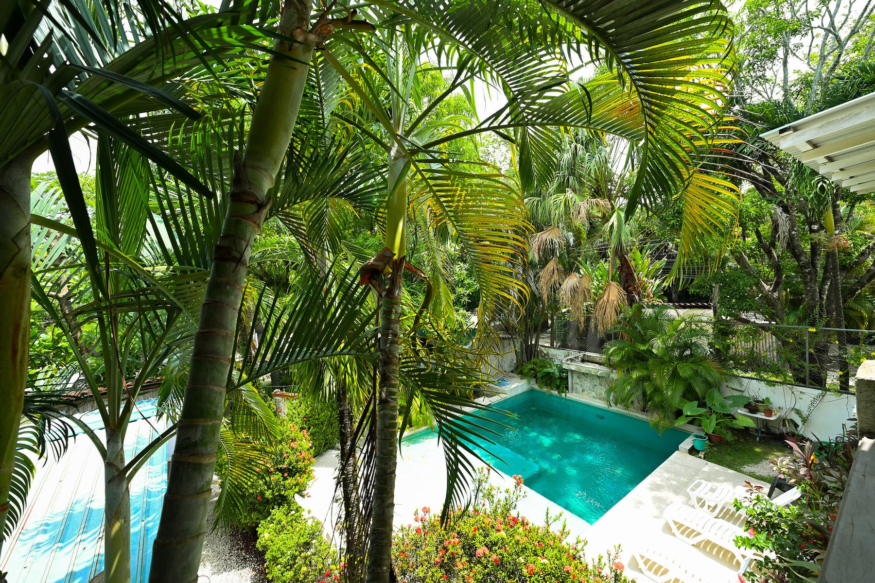 Turnkey Multi-Unit Property with Pool Near Beach, Santa Teresa, Cobano, Puntarenas, Puntarenas, Costa Rica 60111 Turnkey Multi-Unit Property with Pool Near Beach, Santa Teresa, Cobano, Puntarenas, Puntarenas, Costa Rica 60111
