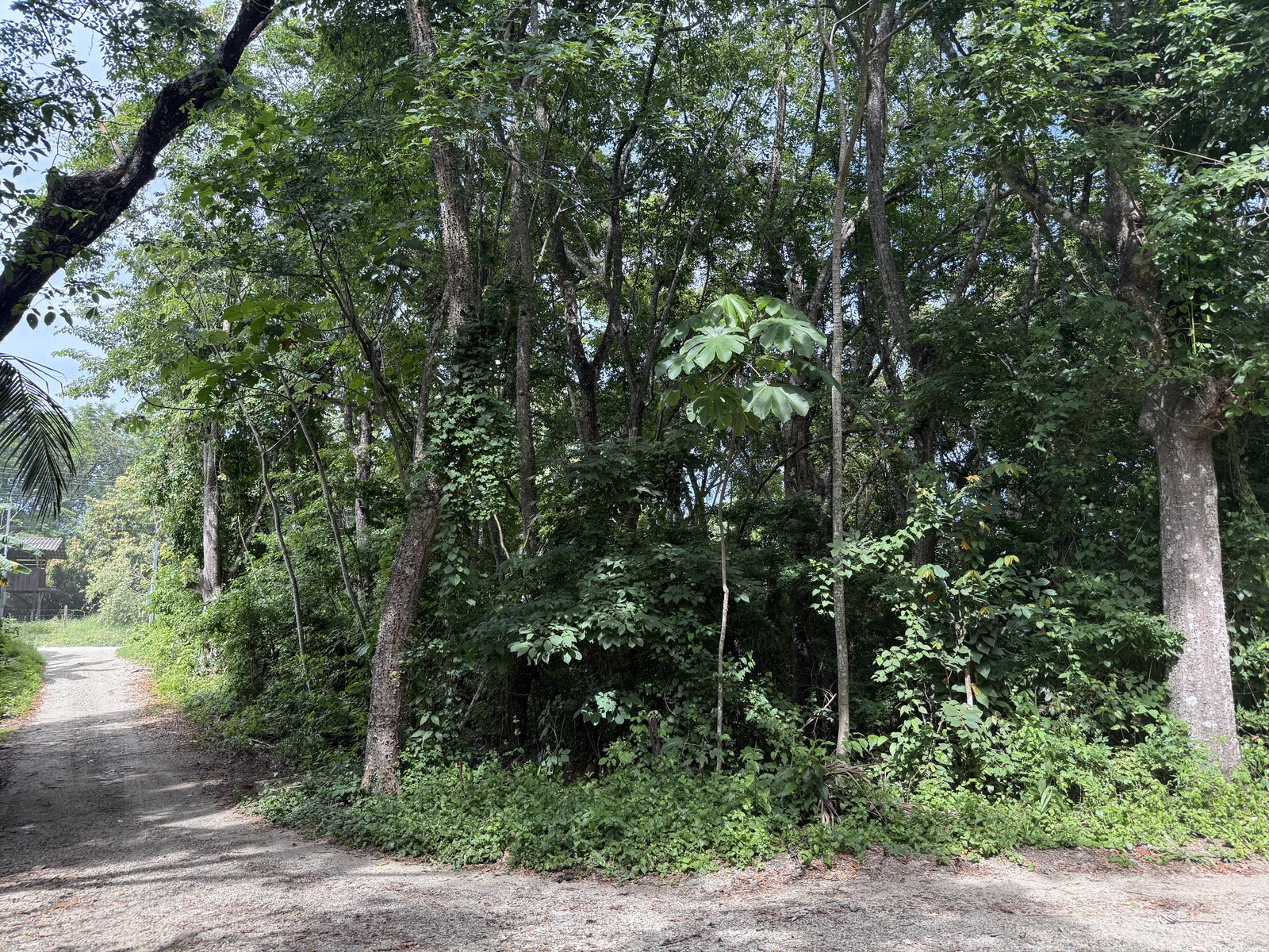 Residential Lot in Santiago , Santiago, Santiago, Santa Teresa, Cobano, Puntarenas, Puntarenas, Costa Rica 60111 Residential Lot in Santiago , Santiago, Santiago, Santa Teresa, Cobano, Puntarenas, Puntarenas, Costa Rica 60111