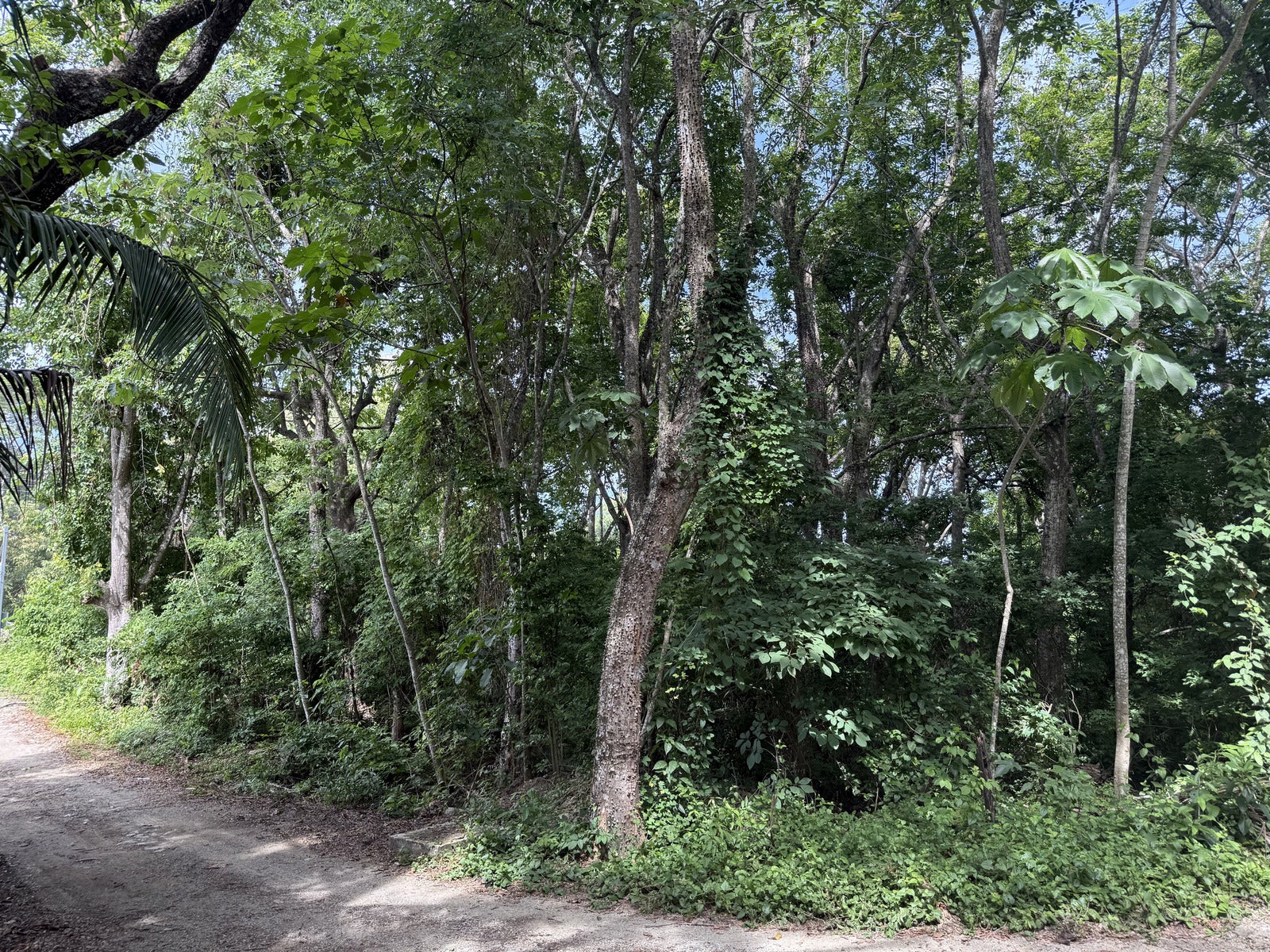 Residential Lot in Santiago , Santiago, Santiago, Santa Teresa, Cobano, Puntarenas, Puntarenas, Costa Rica 60111 Residential Lot in Santiago , Santiago, Santiago, Santa Teresa, Cobano, Puntarenas, Puntarenas, Costa Rica 60111