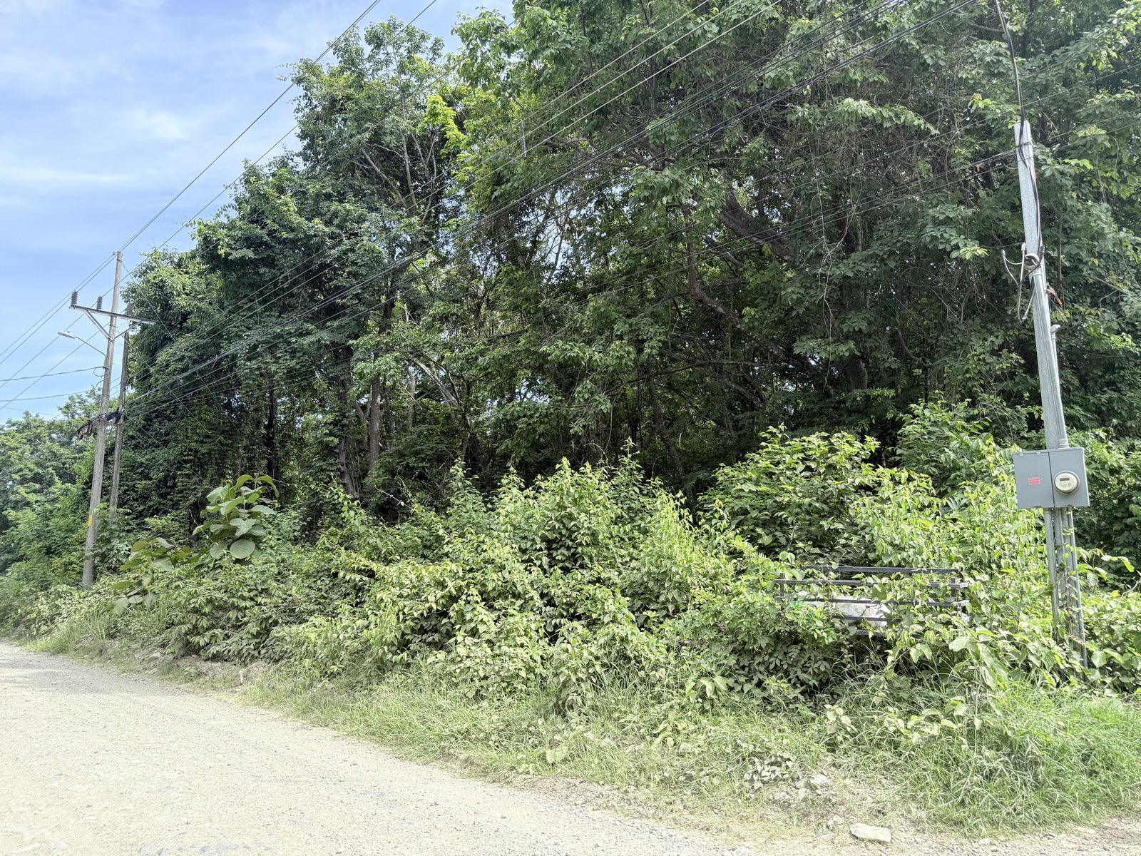 Residential Lot in Santiago , Santiago, Santiago, Santa Teresa, Cobano, Puntarenas, Puntarenas, Costa Rica 60111 Residential Lot in Santiago , Santiago, Santiago, Santa Teresa, Cobano, Puntarenas, Puntarenas, Costa Rica 60111