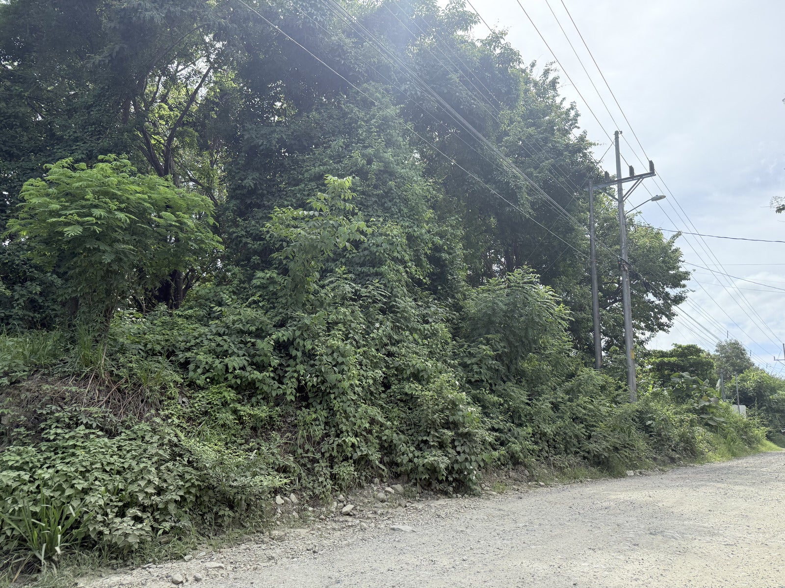Residential Lot in Santiago , Santiago, Santiago, Santa Teresa, Cobano, Puntarenas, Puntarenas, Costa Rica 60111 Residential Lot in Santiago , Santiago, Santiago, Santa Teresa, Cobano, Puntarenas, Puntarenas, Costa Rica 60111