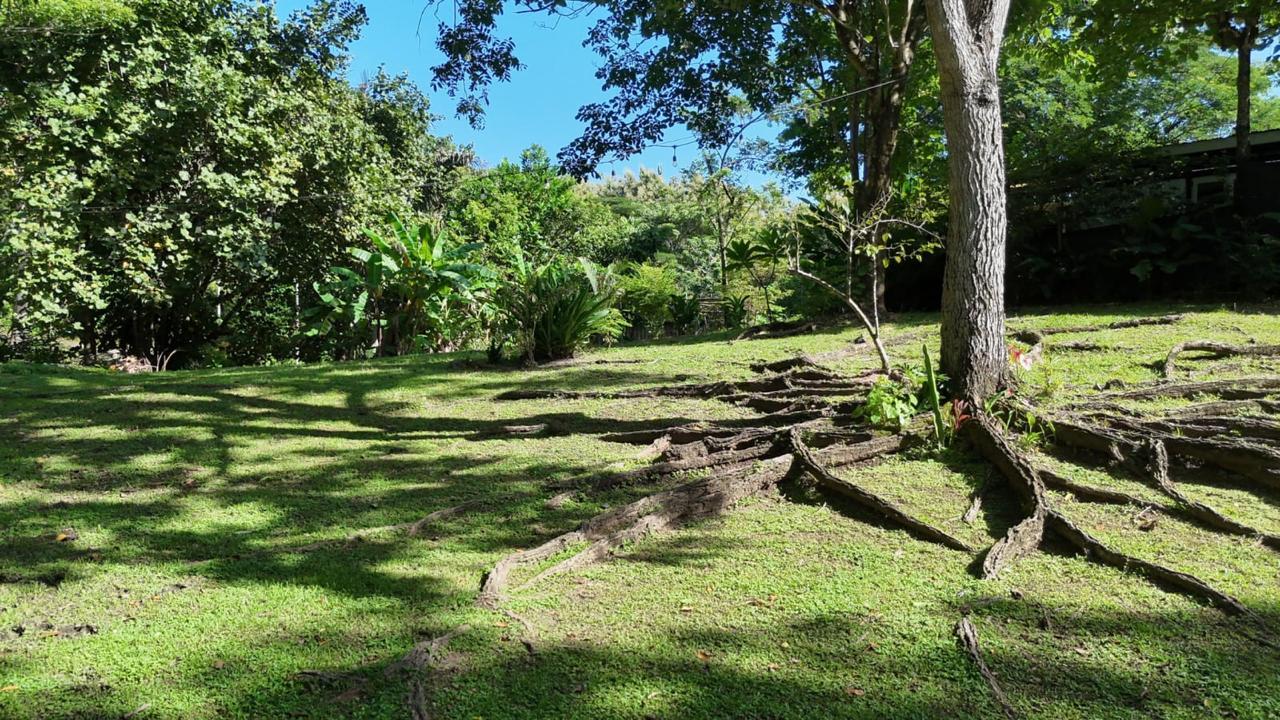 Beautiful Multi Family Property in Manzanillo, Manzanillo, Manzanillo, Santa Teresa, Cobano, Puntarenas, Puntarenas, Costa Rica 60111