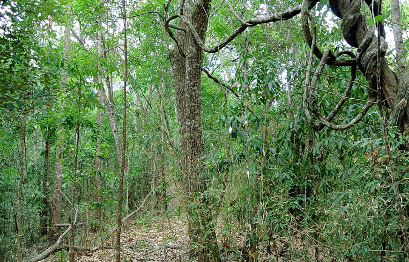 Property photo for lot maramar 22, #22, Maramar, Santa Teresa, Puntarenas, Costa Rica