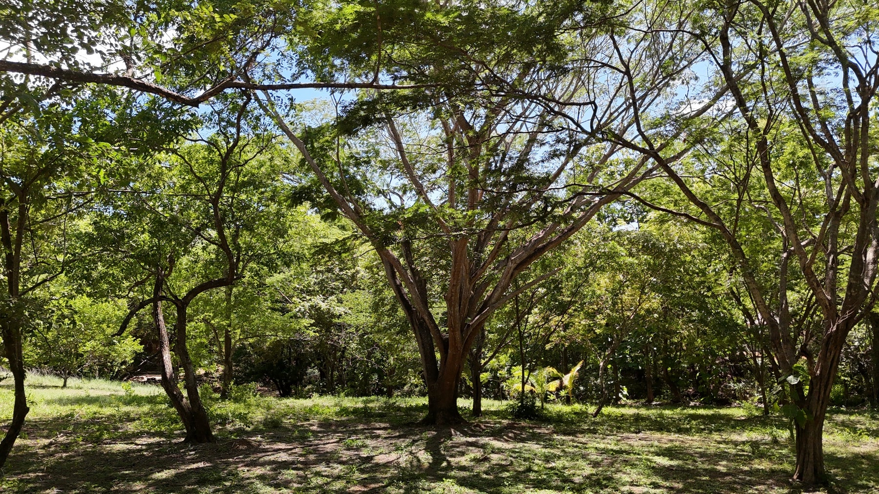 Acreage Estate Lot, Playa Avellanas, Playa Avellanas, Playa Avellanas, Tamarindo, Tamarindo, Santa Cruz, Guanacaste, Costa Rica