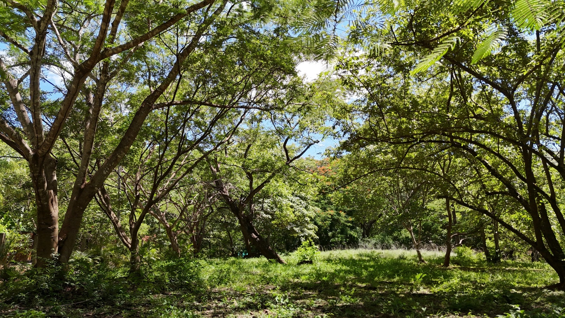 Acreage Estate Lot, Playa Avellanas, Playa Avellanas, Playa Avellanas, Tamarindo, Tamarindo, Santa Cruz, Guanacaste, Costa Rica