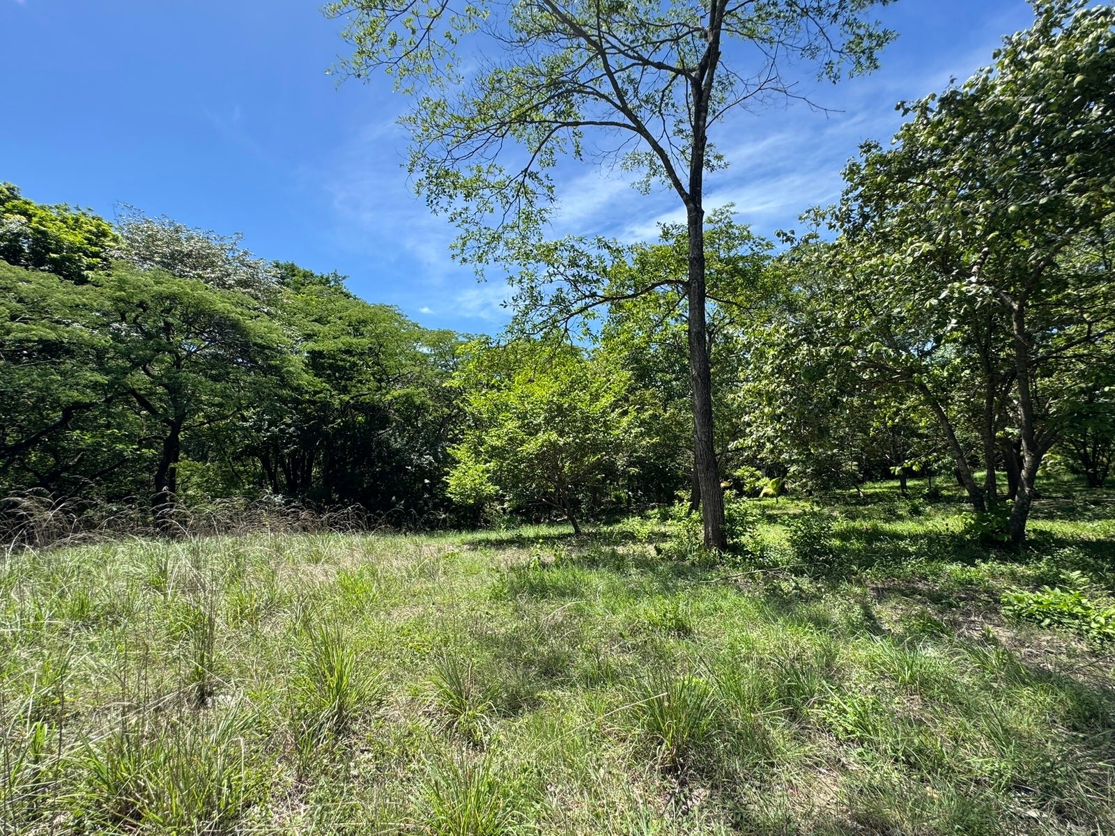 Acreage Estate Lot, Playa Avellanas, Playa Avellanas, Playa Avellanas, Tamarindo, Tamarindo, Santa Cruz, Guanacaste, Costa Rica