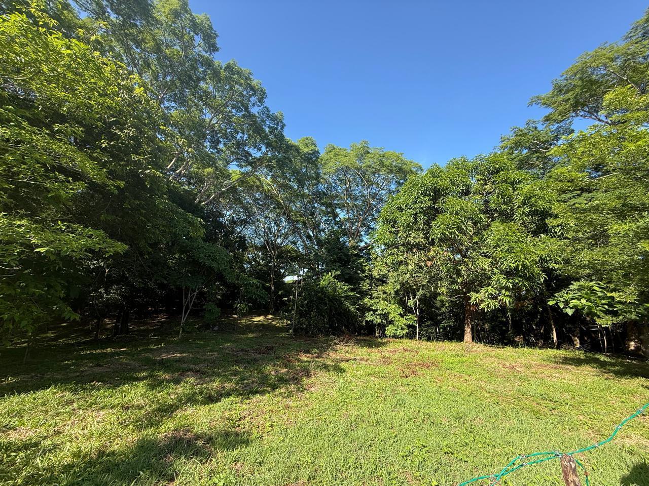 Large Development Land near Hermosa, Santiago, Santiago, Santa Teresa, Cobano, Puntarenas, Puntarenas, Costa Rica 60111
