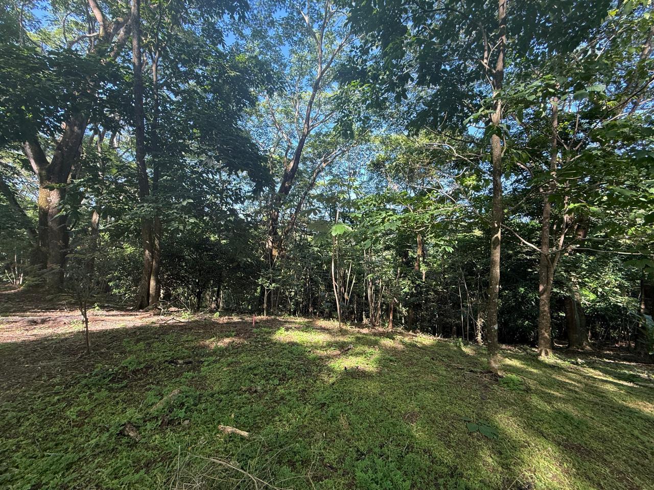 Large Development Land near Hermosa, Santiago, Santiago, Santa Teresa, Cobano, Puntarenas, Puntarenas, Costa Rica 60111