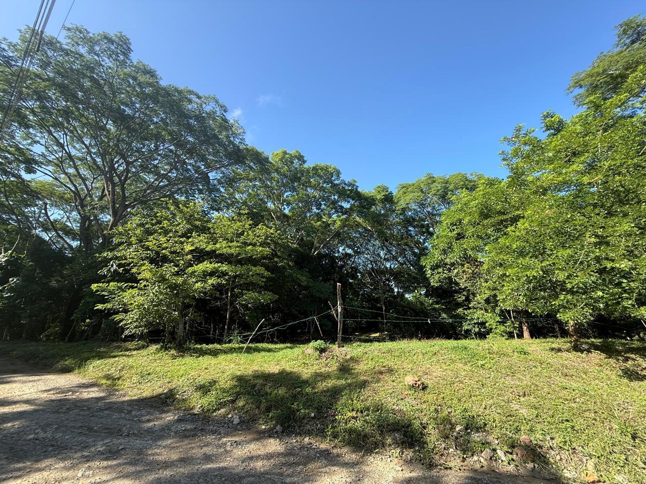 Large Development Land near Hermosa, Santiago, Santiago, Santa Teresa, Cobano, Puntarenas, Puntarenas, Costa Rica 60111