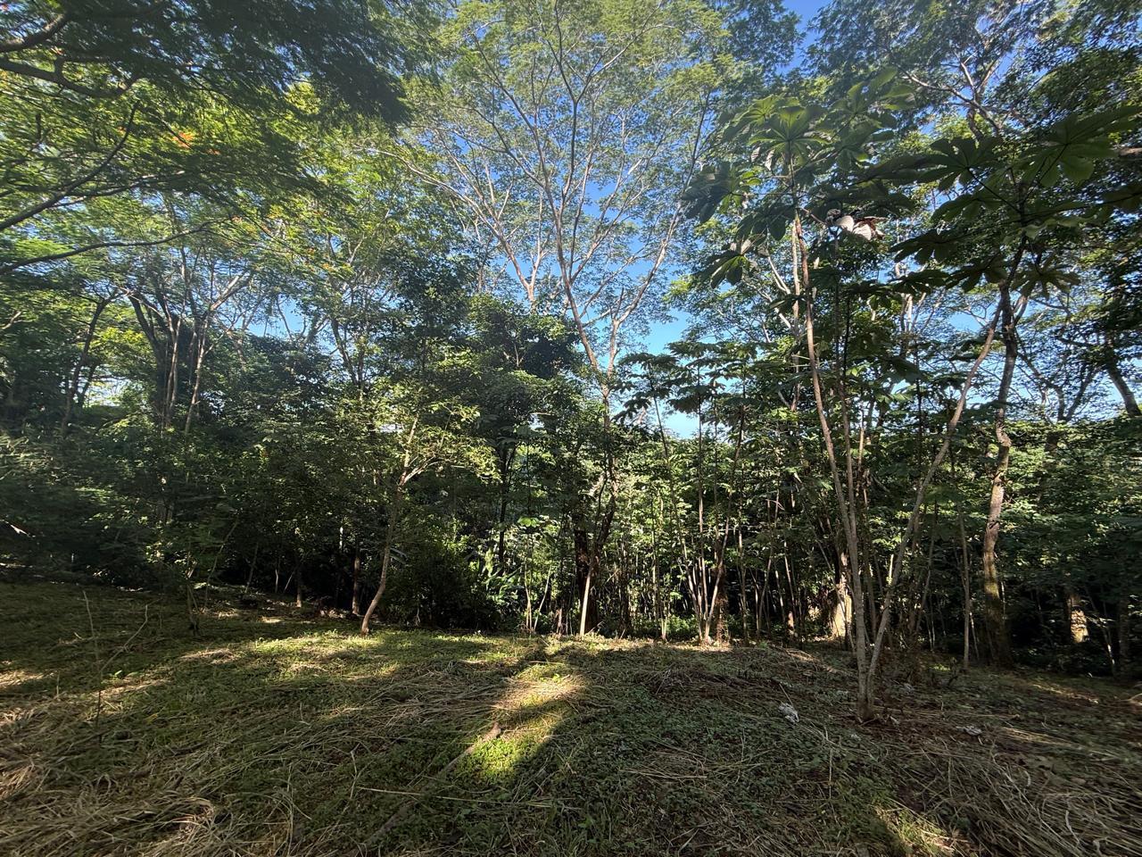 Large Development Land near Hermosa, Santiago, Santiago, Santa Teresa, Cobano, Puntarenas, Puntarenas, Costa Rica 60111