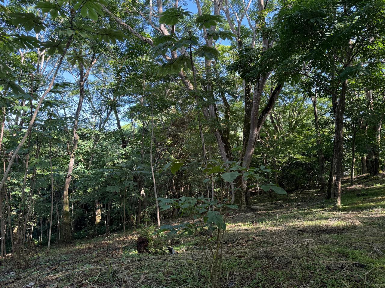 Large Development Land near Hermosa, Santiago, Santiago, Santa Teresa, Cobano, Puntarenas, Puntarenas, Costa Rica 60111