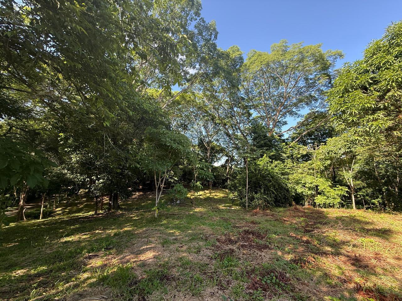 Large Development Land near Hermosa, Santiago, Santiago, Santa Teresa, Cobano, Puntarenas, Puntarenas, Costa Rica 60111