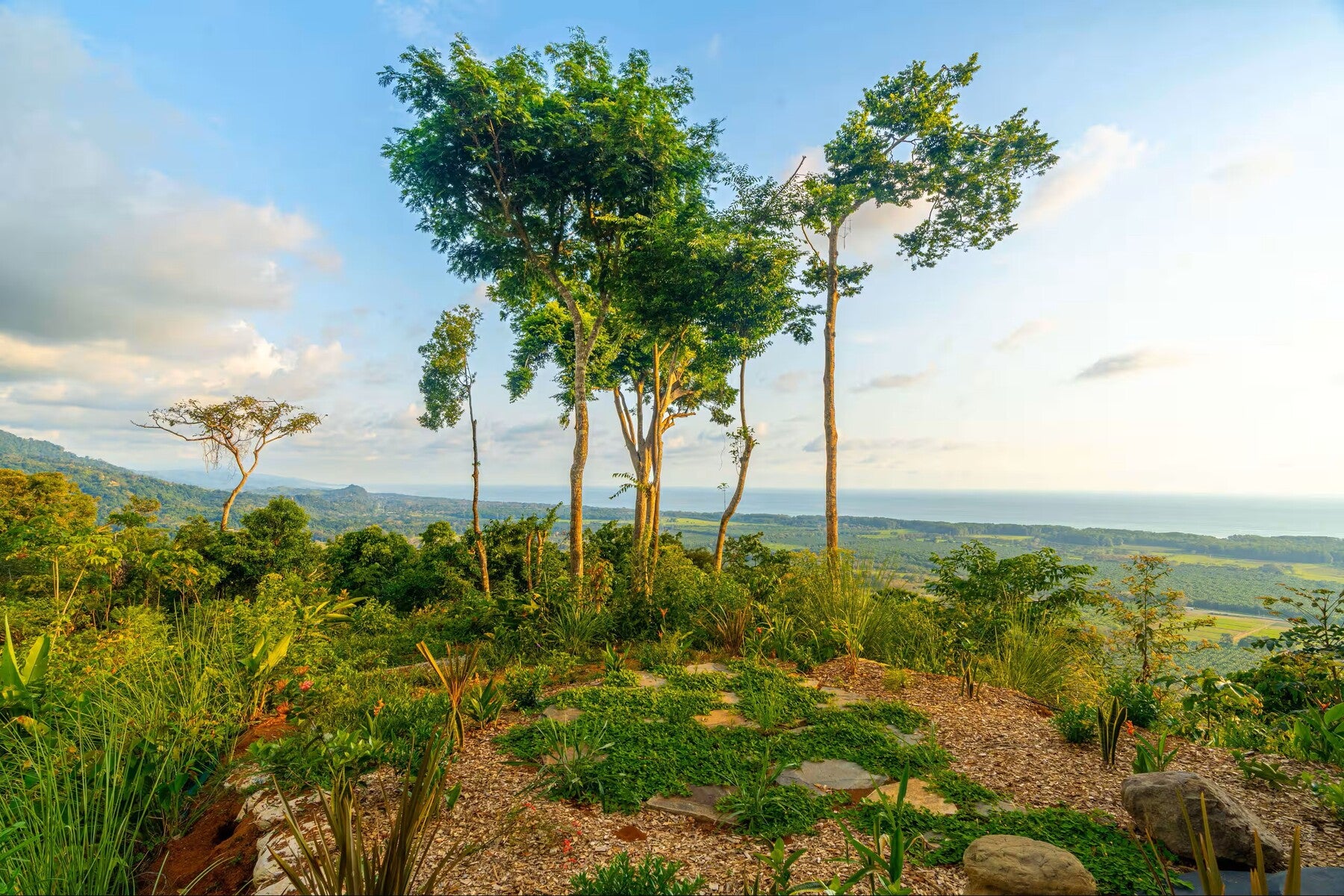 Luxury Ocean View Estate, Portalon, Portalon, Manuel Antonio, Savegre, Quepos, Puntarenas, Costa Rica 11909