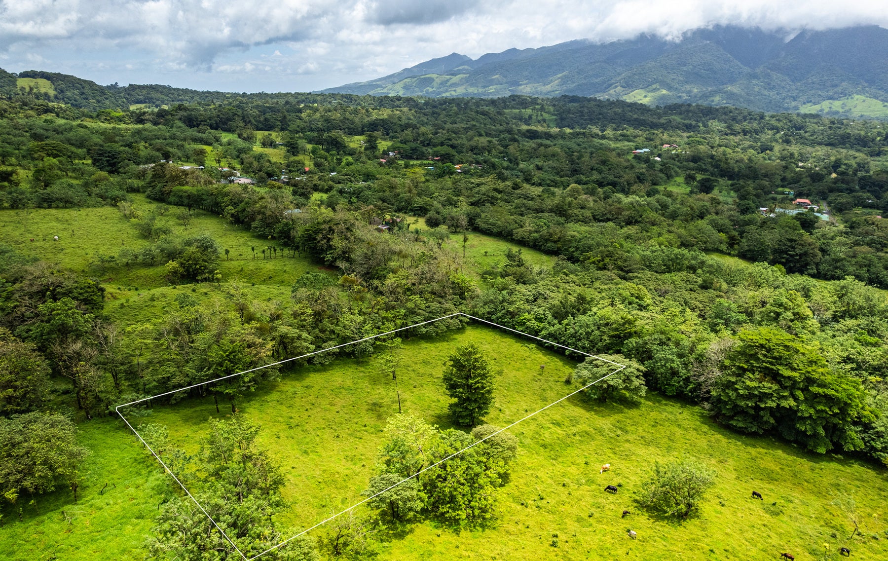 Nature Investment Land, Hacienda Los Reyes, Alajuela, Guacima, Alajuela, Alajuela, Costa Rica 21304 Nature Investment Land, Hacienda Los Reyes, Alajuela, Guacima, Alajuela, Alajuela, Costa Rica 21304