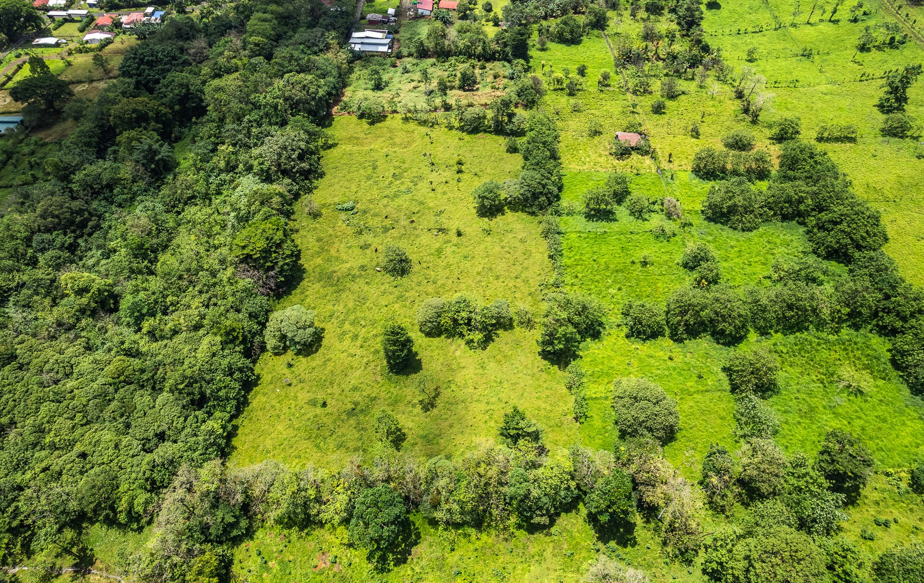 Nature Investment Land, Hacienda Los Reyes, Alajuela, Guacima, Alajuela, Alajuela, Costa Rica 21304 Nature Investment Land, Hacienda Los Reyes, Alajuela, Guacima, Alajuela, Alajuela, Costa Rica 21304