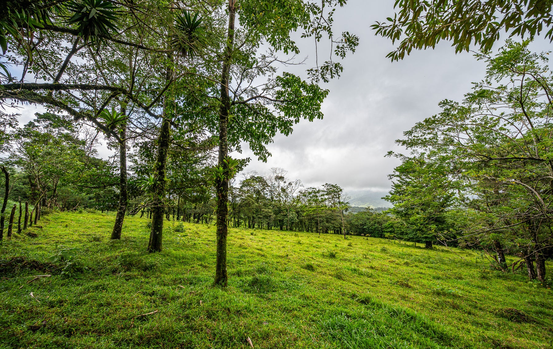Nature Investment Land, Hacienda Los Reyes, Alajuela, Guacima, Alajuela, Alajuela, Costa Rica 21304 Nature Investment Land, Hacienda Los Reyes, Alajuela, Guacima, Alajuela, Alajuela, Costa Rica 21304