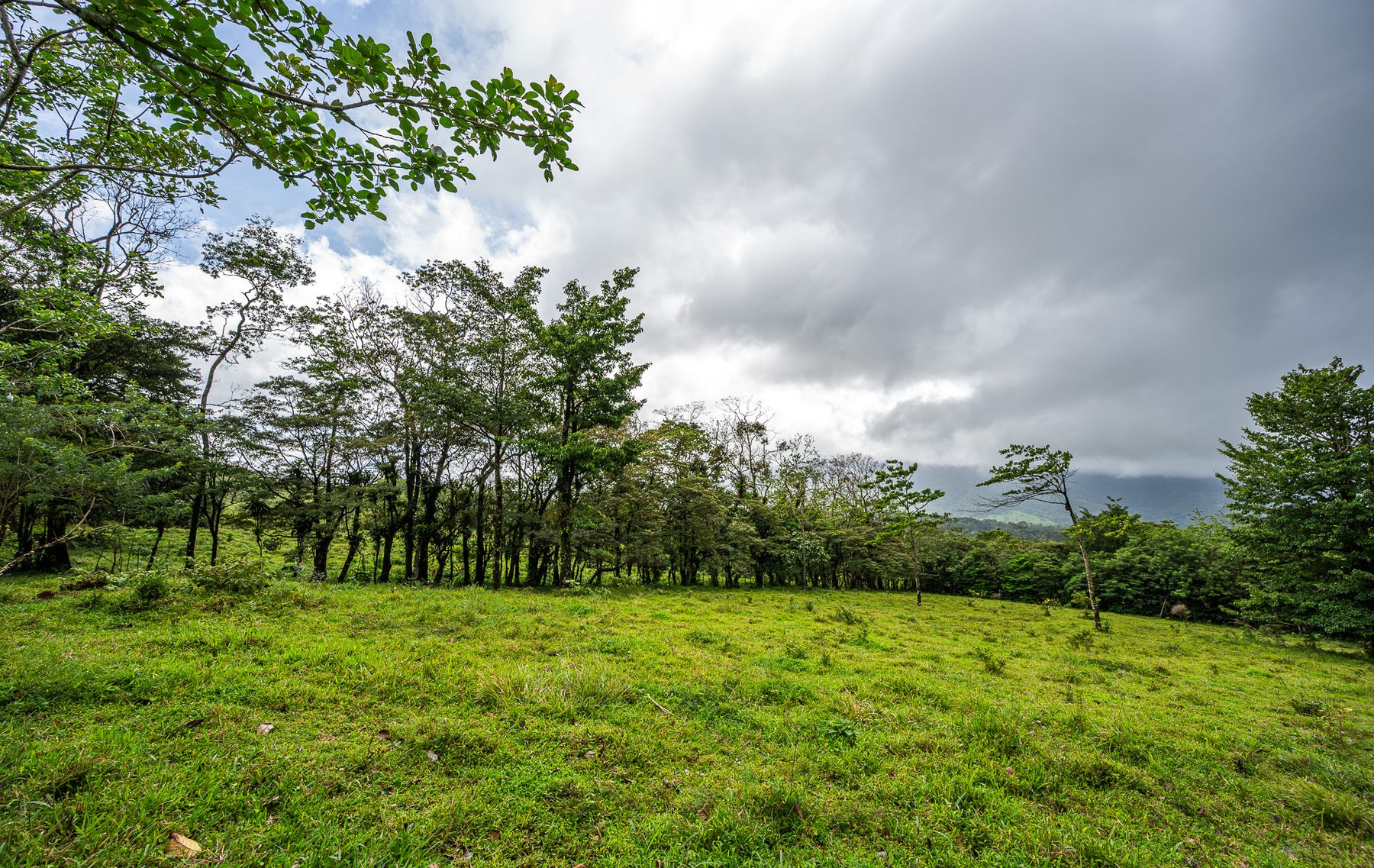 Nature Investment Land, Hacienda Los Reyes, Alajuela, Guacima, Alajuela, Alajuela, Costa Rica 21304 Nature Investment Land, Hacienda Los Reyes, Alajuela, Guacima, Alajuela, Alajuela, Costa Rica 21304