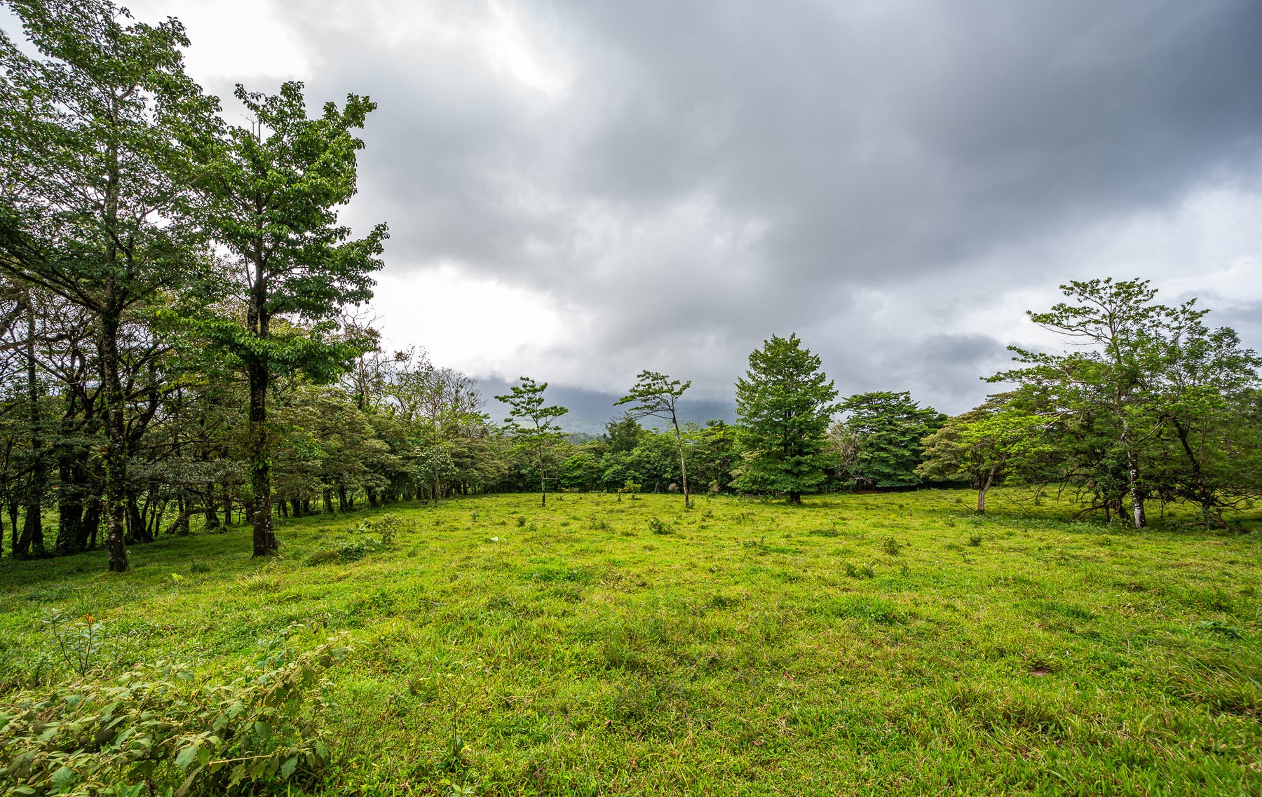 Nature Investment Land, Hacienda Los Reyes, Alajuela, Guacima, Alajuela, Alajuela, Costa Rica 21304 Nature Investment Land, Hacienda Los Reyes, Alajuela, Guacima, Alajuela, Alajuela, Costa Rica 21304