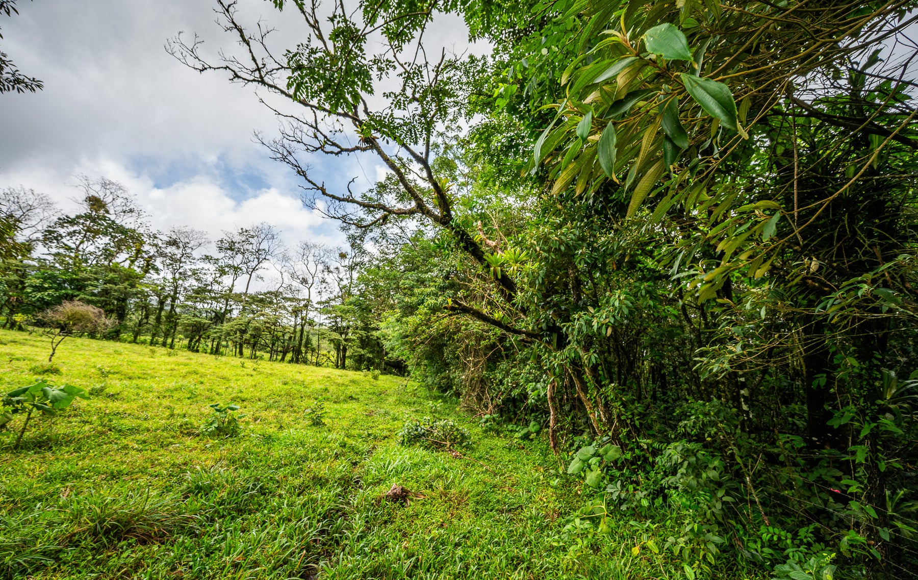 Nature Investment Land, Hacienda Los Reyes, Alajuela, Guacima, Alajuela, Alajuela, Costa Rica 21304 Nature Investment Land, Hacienda Los Reyes, Alajuela, Guacima, Alajuela, Alajuela, Costa Rica 21304