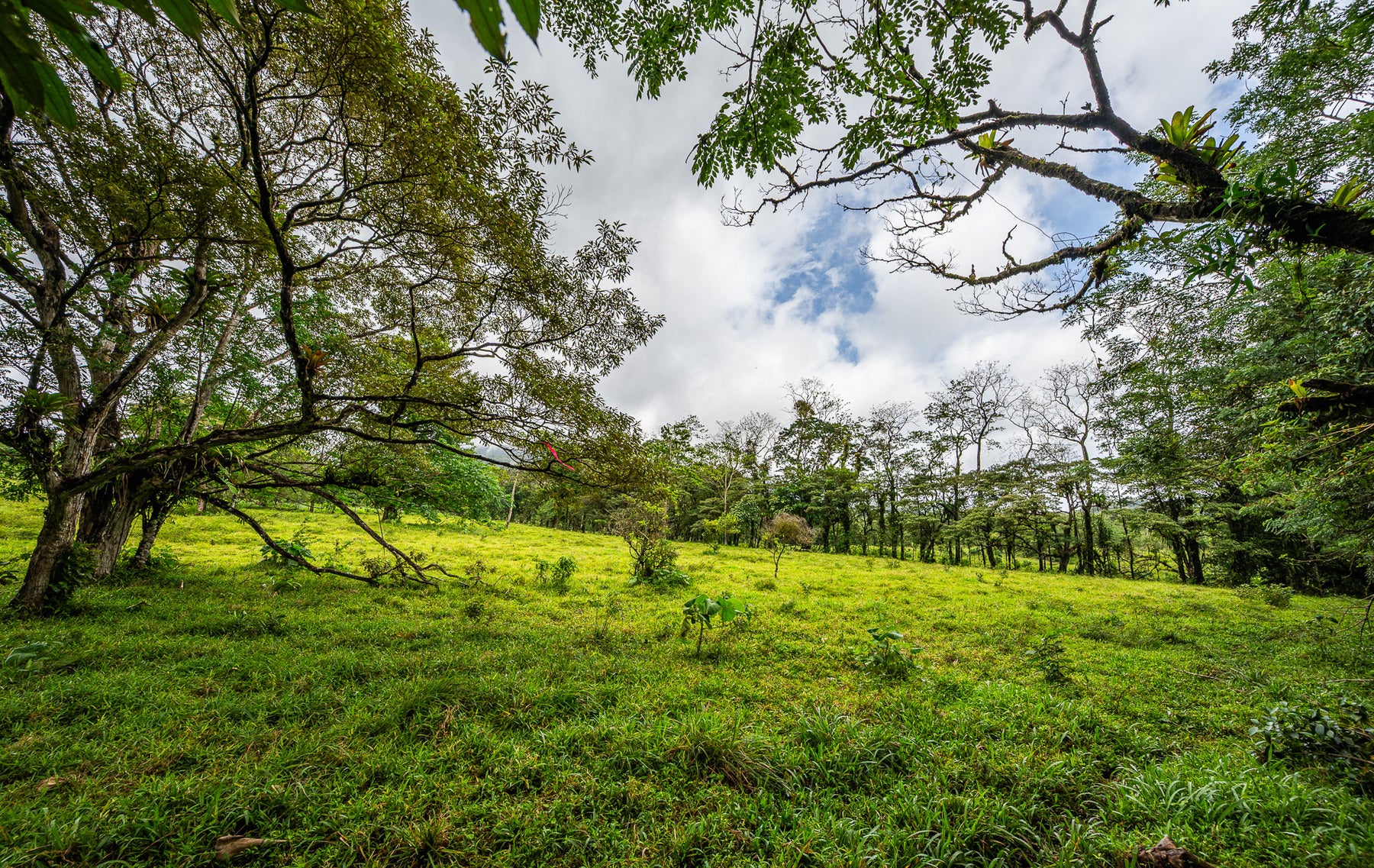 Nature Investment Land, Hacienda Los Reyes, Alajuela, Guacima, Alajuela, Alajuela, Costa Rica 21304 Nature Investment Land, Hacienda Los Reyes, Alajuela, Guacima, Alajuela, Alajuela, Costa Rica 21304