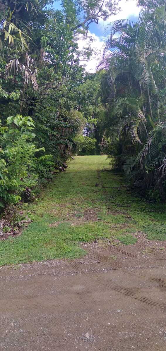 Property photo for Commercial Delicias Lot , Las Delicias, Santa Teresa, Cobano, Puntarenas, Puntarenas, Costa Rica