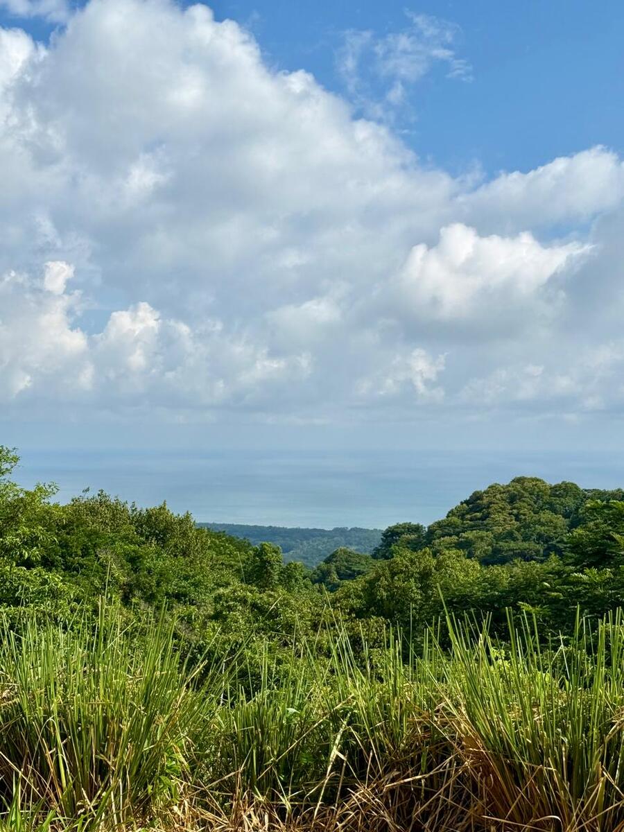 Sunset Ocean View parcel in exclusive Dominical community Hatillo, Hatillo, Hatillo, Dominical, Puntarenas, Costa Rica 11909