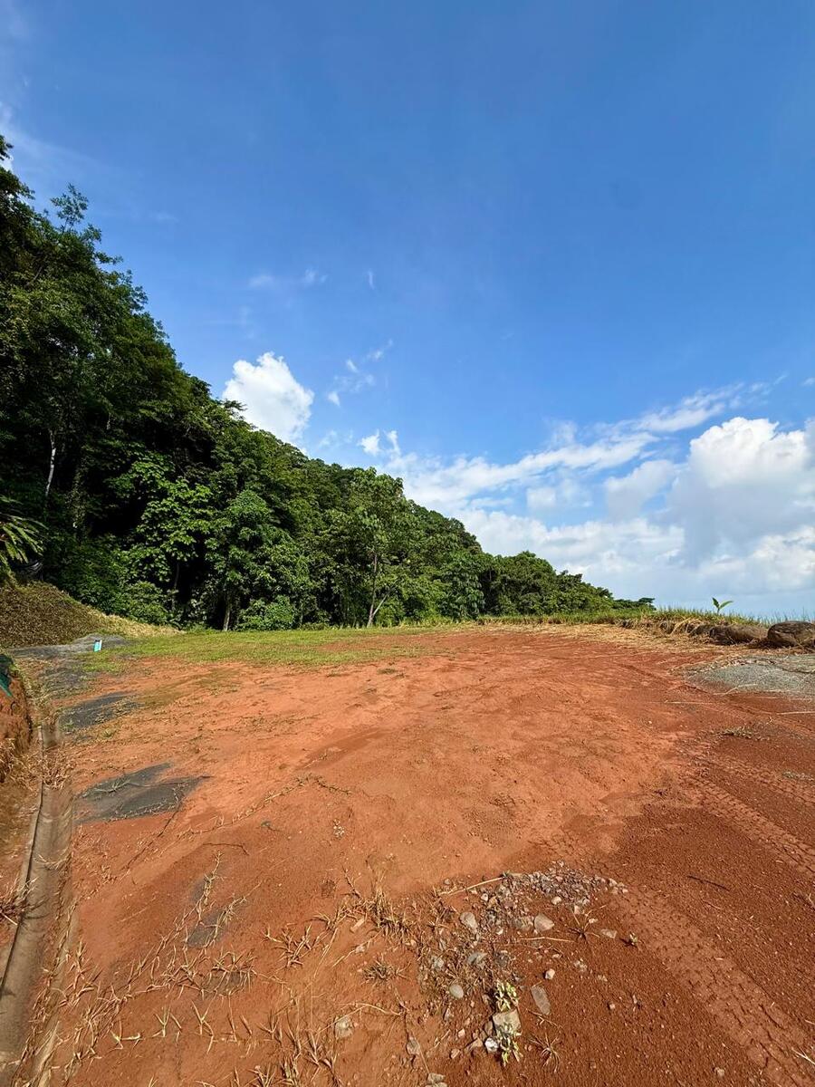 Sunset Ocean View parcel in exclusive Dominical community Hatillo, Hatillo, Hatillo, Dominical, Puntarenas, Costa Rica 11909