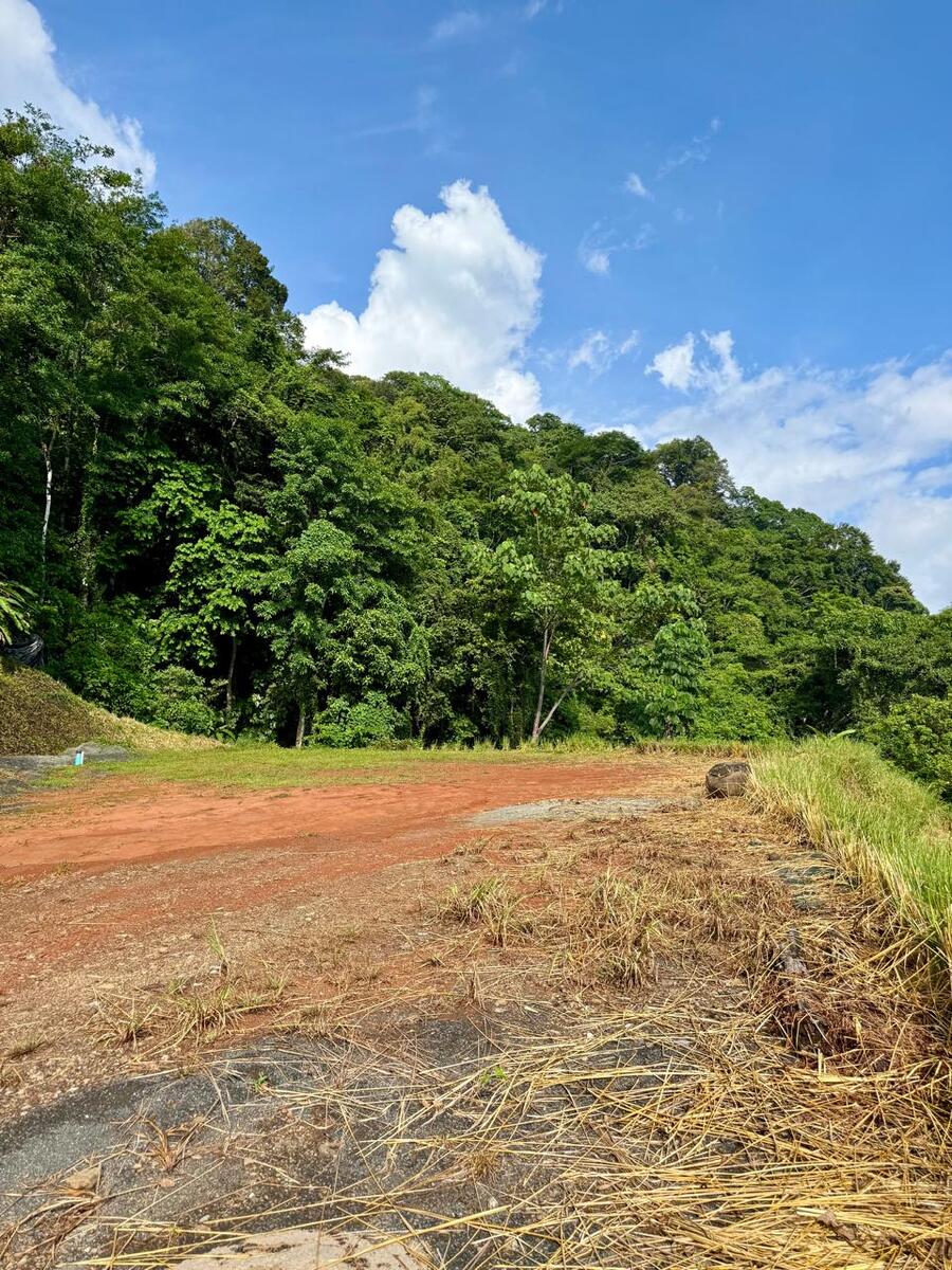Sunset Ocean View parcel in exclusive Dominical community Hatillo, Hatillo, Hatillo, Dominical, Puntarenas, Costa Rica 11909