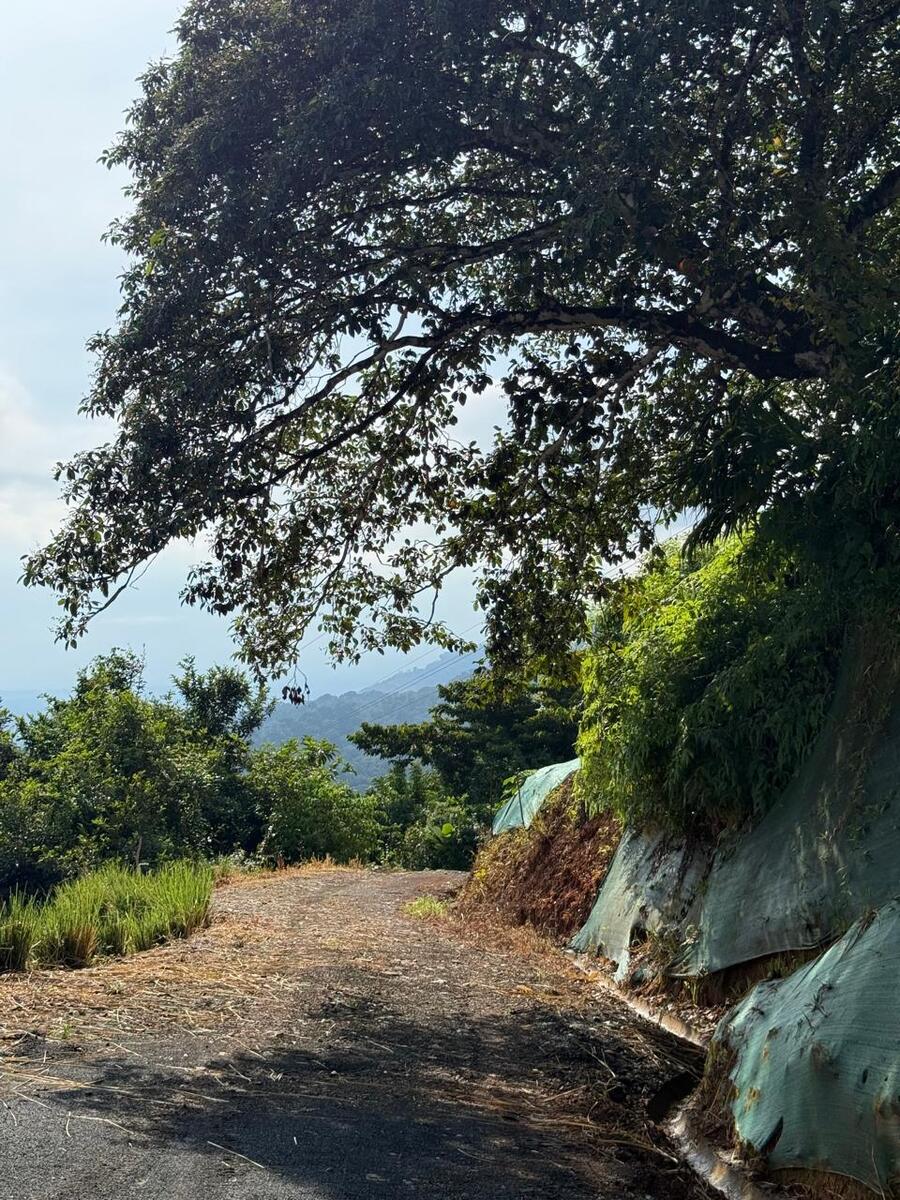Sunset Ocean View parcel in exclusive Dominical community Hatillo, Hatillo, Hatillo, Dominical, Puntarenas, Costa Rica 11909