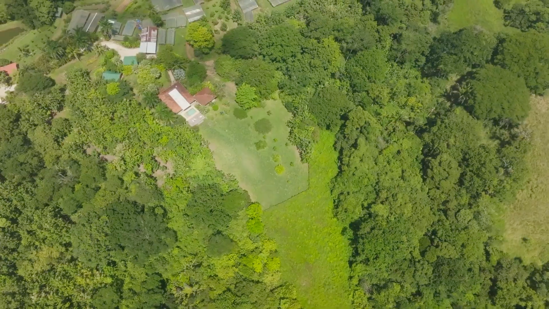 Organic Farm With Multiple Residences, San Isidro, San Isidro, Santa Teresa, Cobano, Puntarenas, Puntarenas, Costa Rica 60111