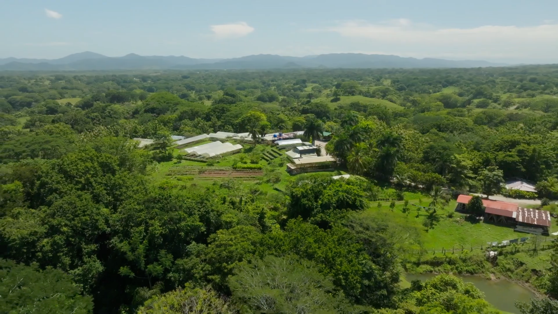 Organic Farm With Multiple Residences, San Isidro, San Isidro, Santa Teresa, Cobano, Puntarenas, Puntarenas, Costa Rica 60111