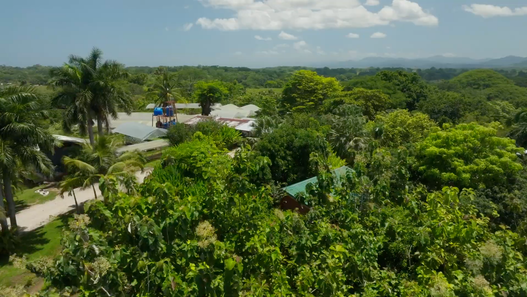 Organic Farm With Multiple Residences, San Isidro, San Isidro, Santa Teresa, Cobano, Puntarenas, Puntarenas, Costa Rica 60111