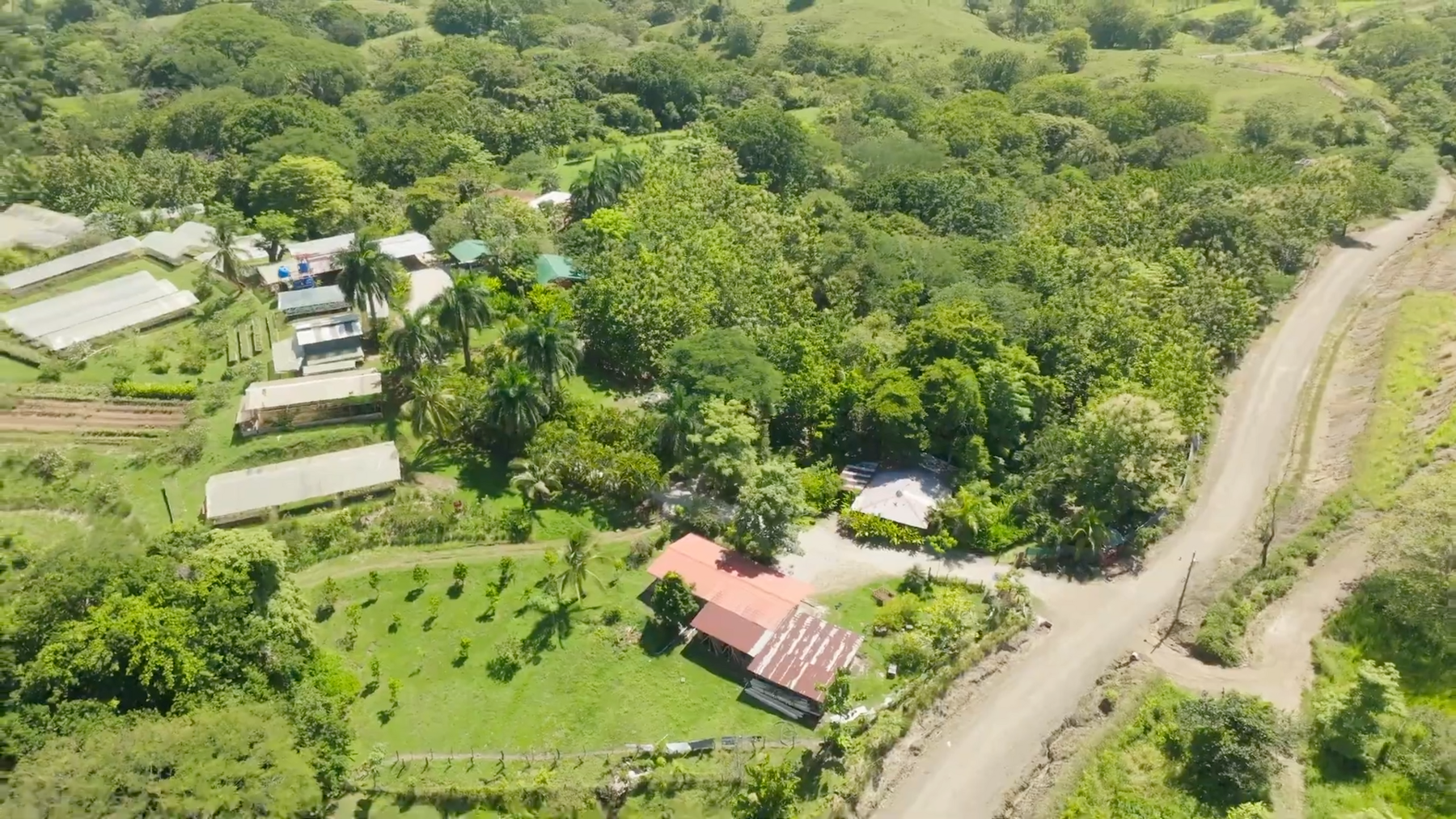 Organic Farm With Multiple Residences, San Isidro, San Isidro, Santa Teresa, Cobano, Puntarenas, Puntarenas, Costa Rica 60111