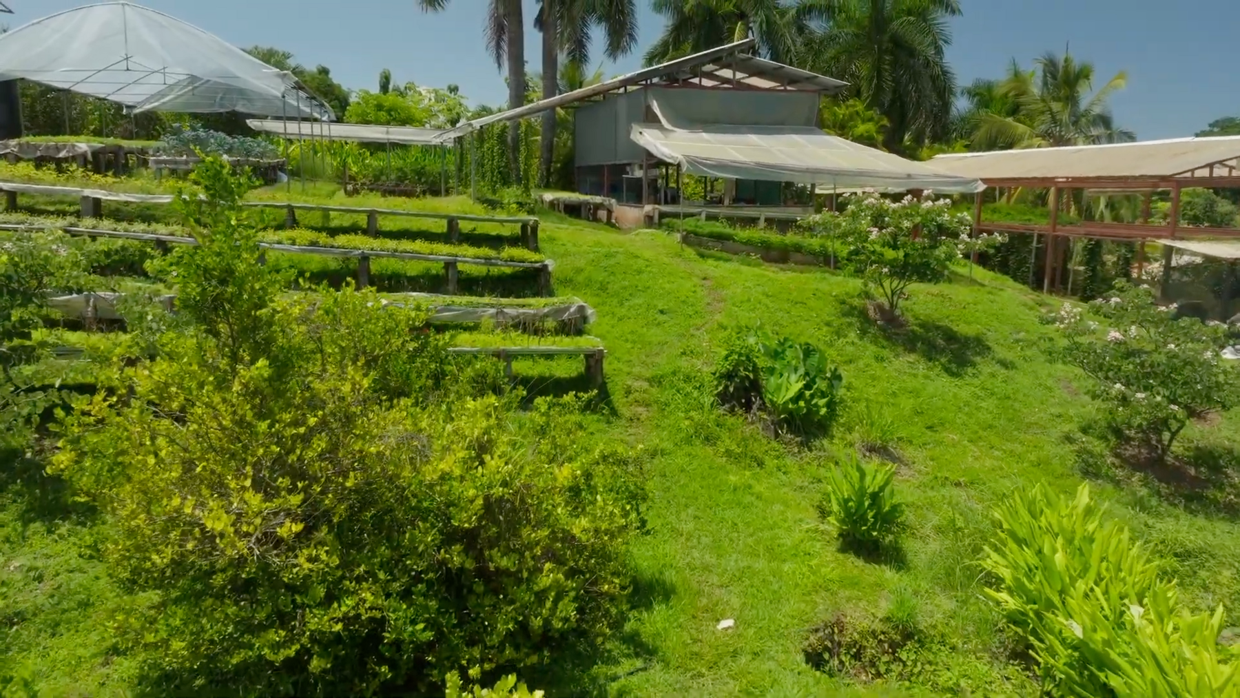 Organic Farm With Multiple Residences, San Isidro, San Isidro, Santa Teresa, Cobano, Puntarenas, Puntarenas, Costa Rica 60111